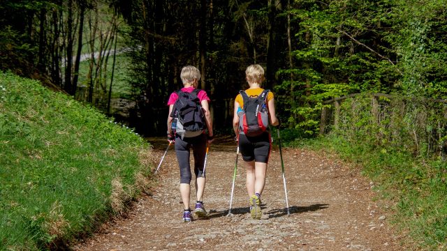 Nordic Walking active Cup