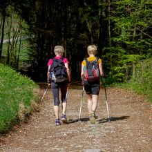 Nordic Walking active Cup
