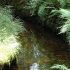 Wasserregal Dammgraben